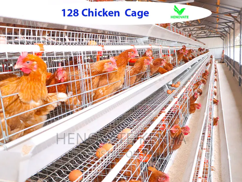 128 Birds Layers Cage/4floor Cage