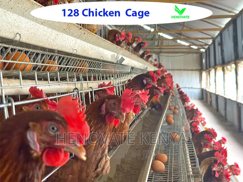 4floor Birds Layers Cage