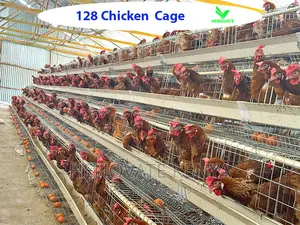 128 Birds Layers Cage in Kenya