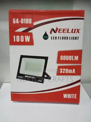 100 Watts High Power AC Outdoor LED Flood Light 100W