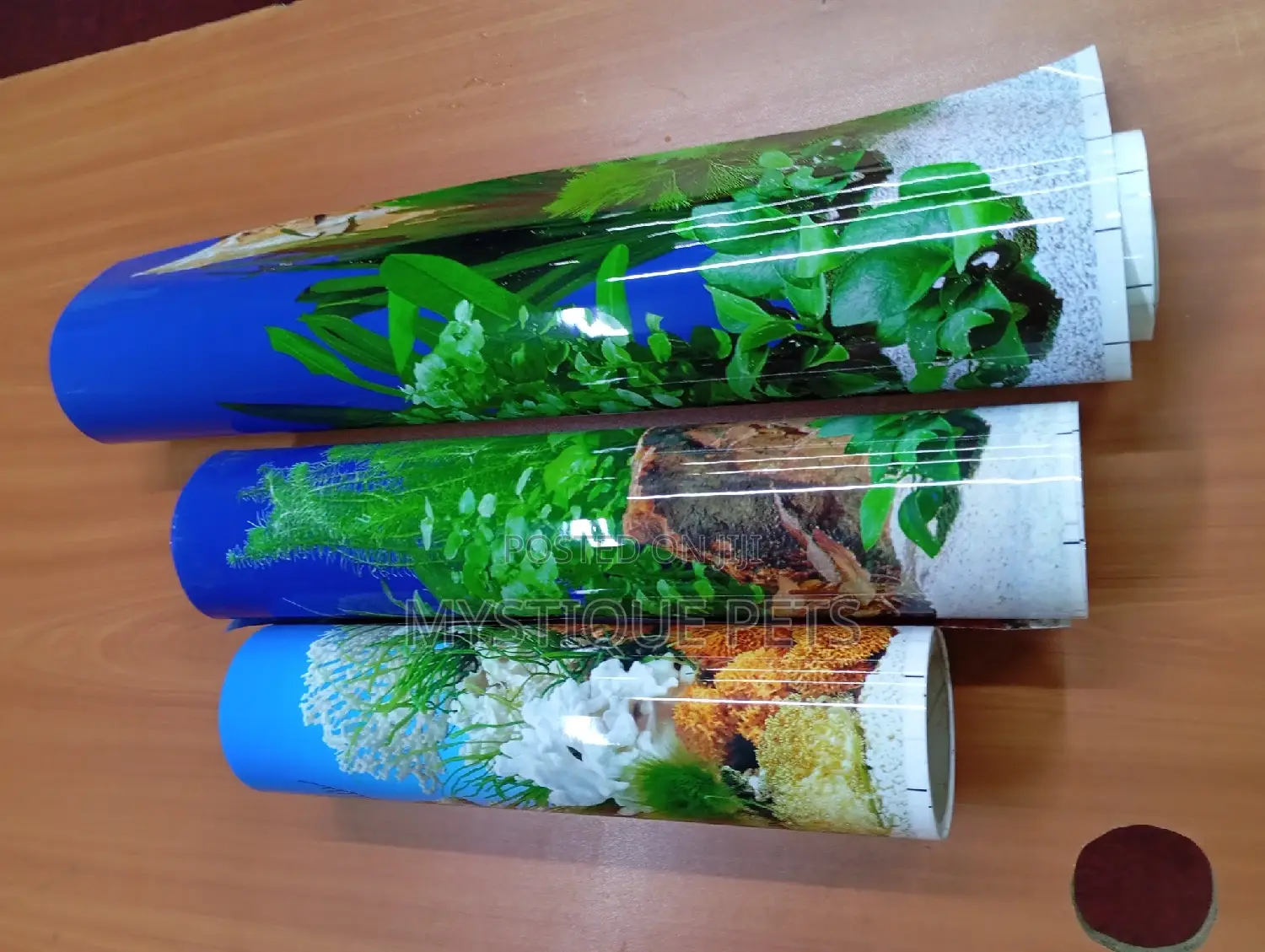 Aquariums Back Ground