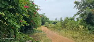 Mtwapa Coca-Cola,Plots for Sale