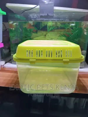 Fish Tank Plastic