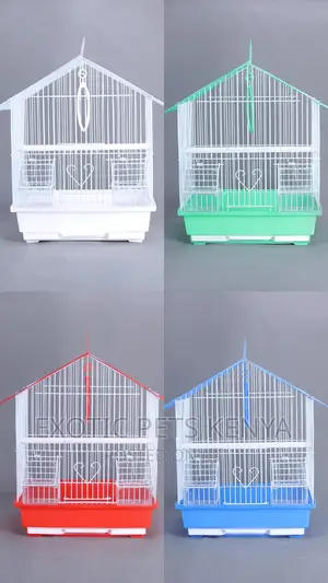 Lovely Bird Cages for Sale