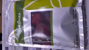 African Red 50,000 Seeds Onions