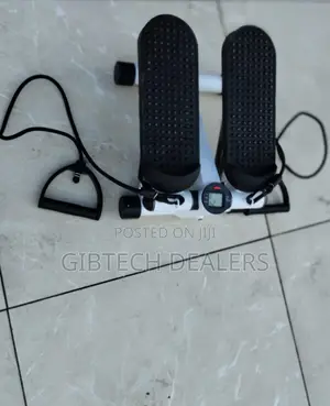Portable Mini Stepper Exercise Machine