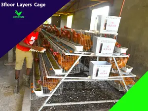 3floor Hens Layers Cage.In Kenya(Saves Space)One Year Warran
