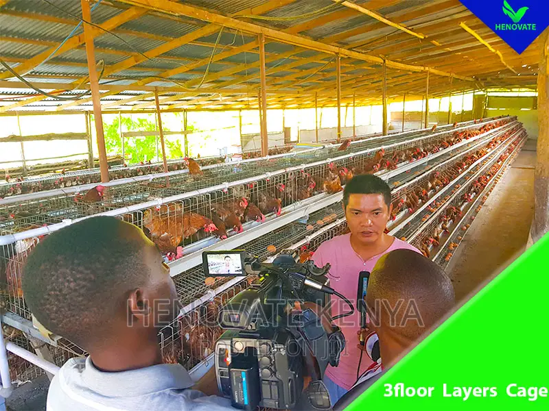 3floor Hens Layers Cage/Saving Space