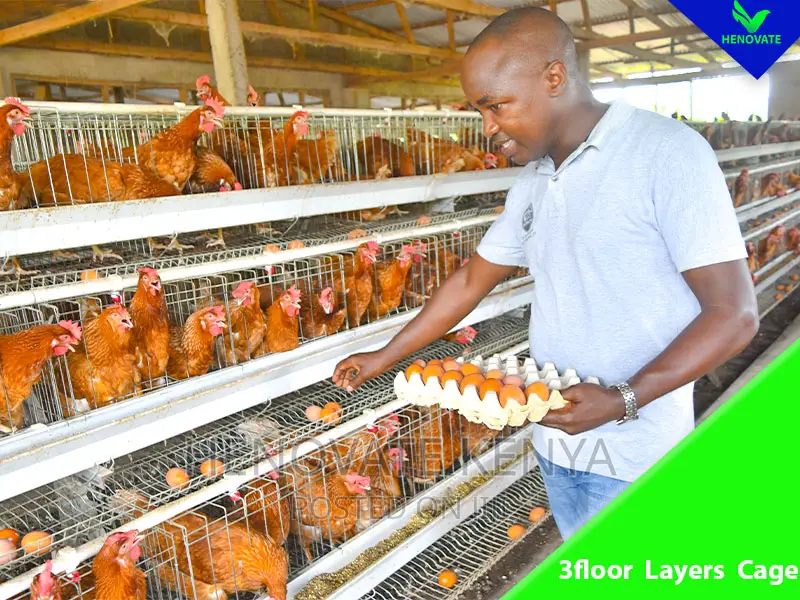 3floor Hens Layers Cage/Saving Space