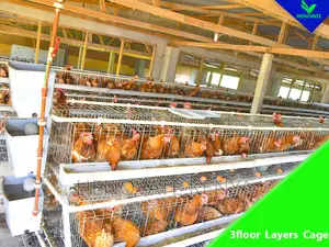 3floor Hens Layers Cage/Saving Space