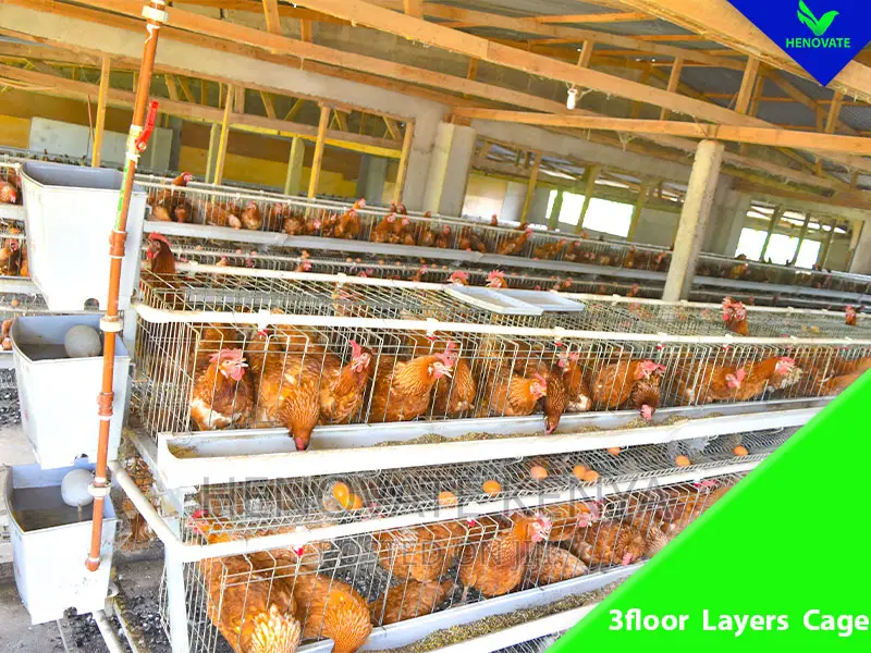 3floor Hens Layers Cage/Saving Space