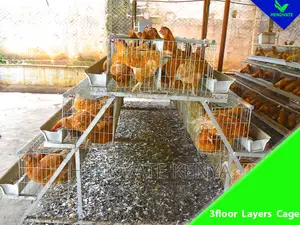 3floor Hens Layers Cage/Saving Space