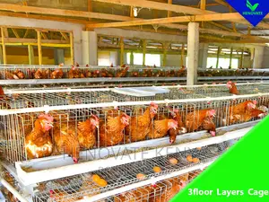 3floor Hens Layers Cage/Saving Space