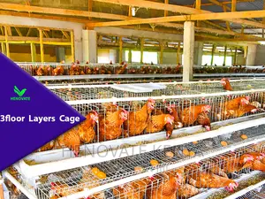 3 Floor Layer Chicken House in Nairobi