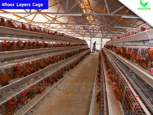 Chicken Layers Cage/4floor Easy to Control