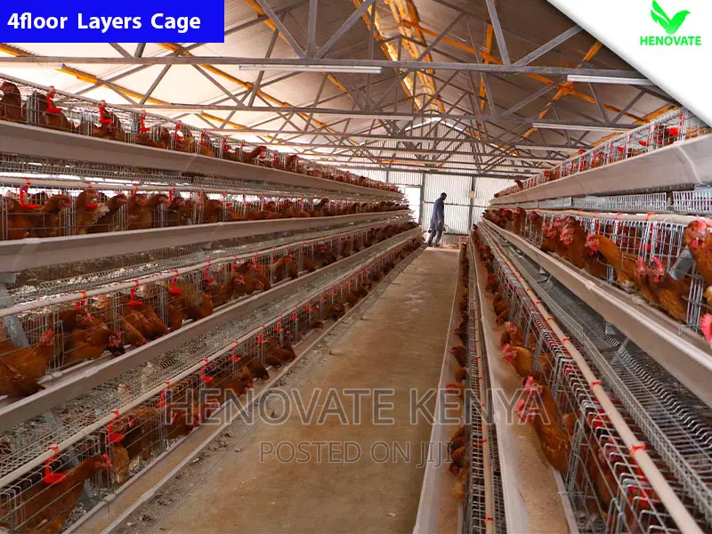 Chicken Layers Cage/4floor Easy to Control