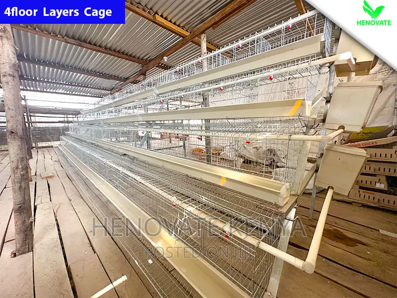 Chicken Layers Cage/4floor Easy to Control