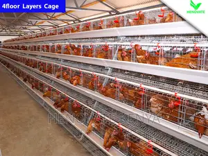 Chicken Layers Cage/4floor Easy to Control