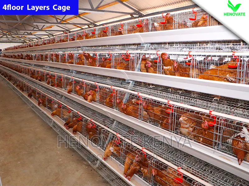 Chicken Layers Cage/4floor Easy to Control