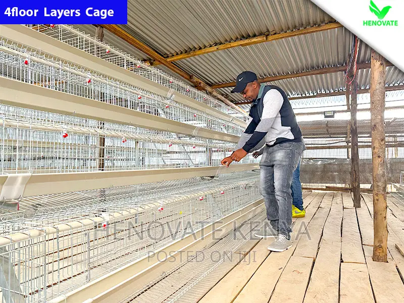Chicken Layers Cage/4floor Easy to Control