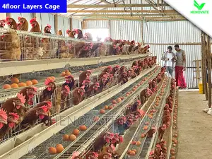 Chicken Layers Cage/4floor Easy to Control