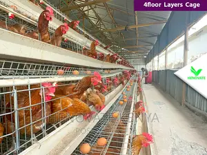 Best Quality Cages in Kenya/128 Birds