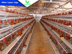 4floor Chicken Layers Cage/128 Birds/Brand New Cage