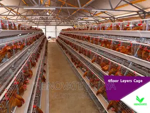 4floor Layers Cage/128 Birds