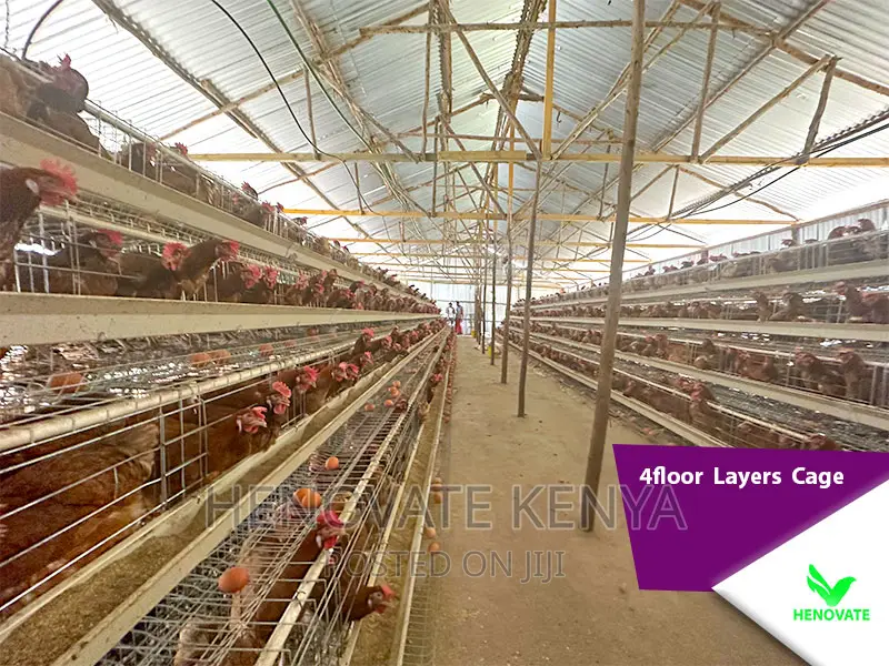 4floor Layers Cage/128 Birds
