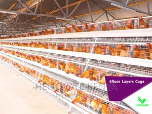 4floor Layers Cage/128 Birds