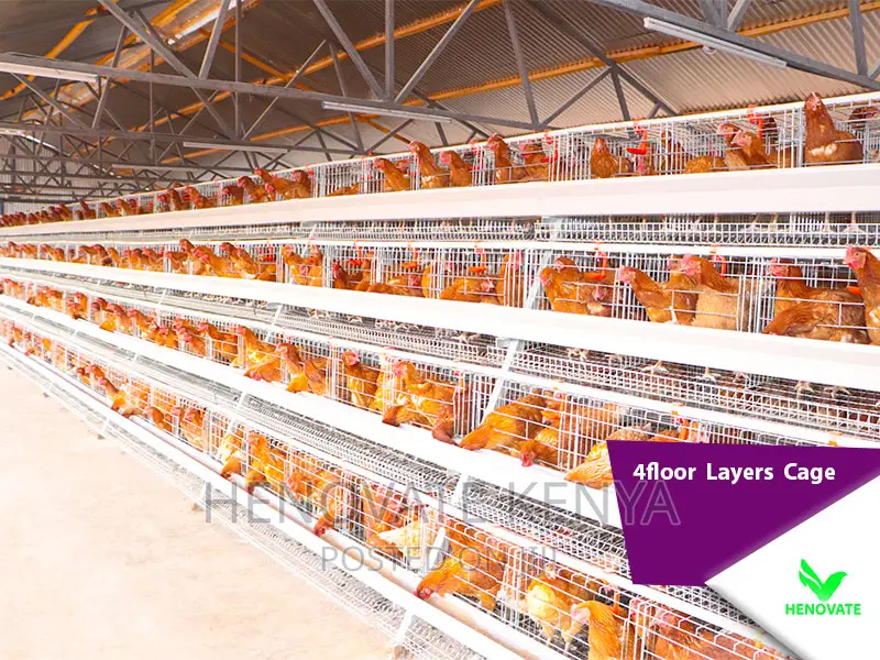 4floor Layers Cage/128 Birds