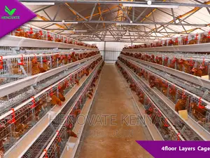 4floor Chicken Layers Cage/128 Birds Saves Space