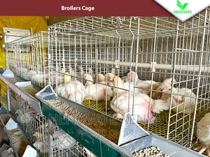 Reliable Broilers Cage With (One Year Warranty)