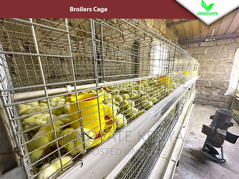 Reliable Broilers Cage With (One Year Warranty)