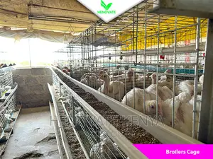 Best Broiler Cage(Try This Today)Saves Space