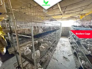 Broiler Cage With Best Price Ever.Saves Space.