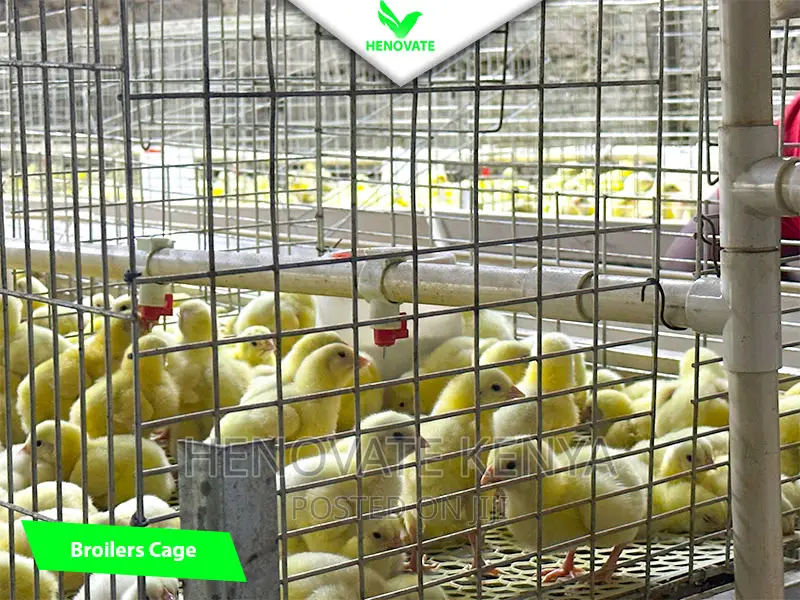 Broiler Cage System in Kenya(Saves Space)In Ruiru Kiambu