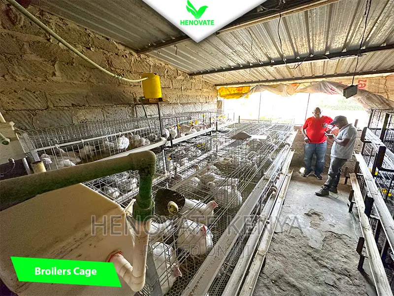 Broiler Cage System in Kenya(Saves Space)In Ruiru Kiambu