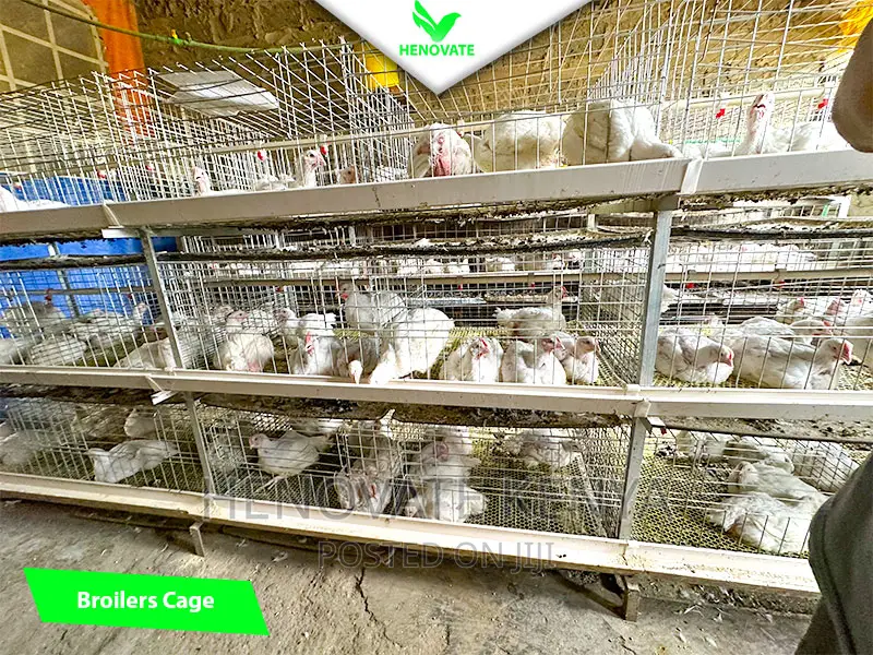 Broiler Cage System in Kenya(Saves Space)In Ruiru Kiambu