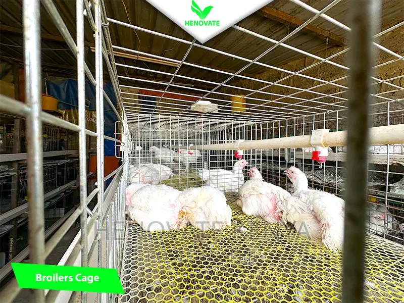 Broiler Cage System in Kenya(Saves Space)In Ruiru Kiambu