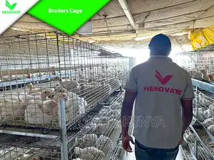 Reliance Poultry BROILER Cages in Kenya With Quality Feeders