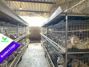 Poultry BROILER Cages(Saves Space) in Ruiru