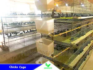 Cheap and Easy Battery Cage System in Kenya