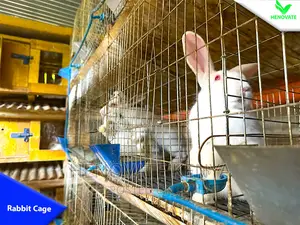Rabbit Cages With Feeders Drinkers in Kenya With One Year Wa
