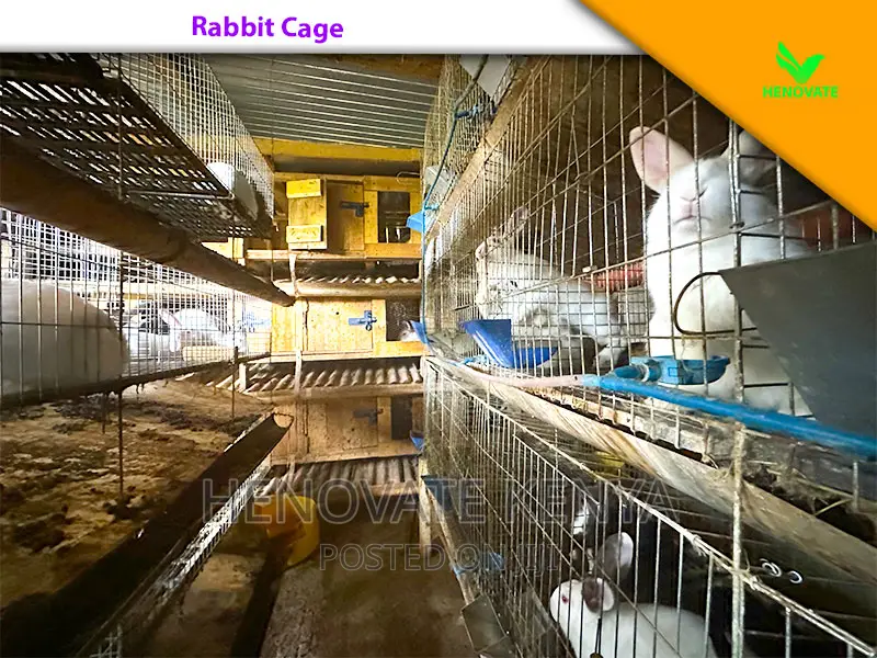 Rabbit Farming Cages