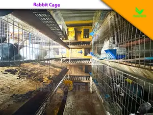 Rabbit Farming Cages