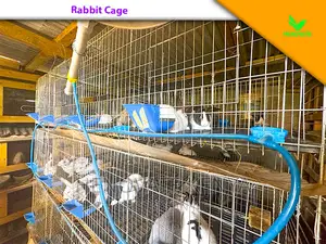 Rabbit Farming Cages