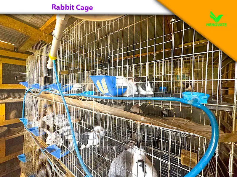 Rabbit Farming Cages