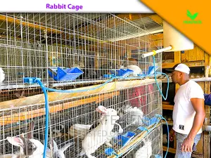 Rabbit Farming Cages