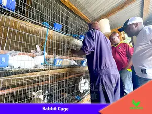 Rabbit (Cage in Kenya Farm.)Brand New